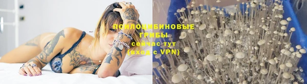 a pvp Кукмор