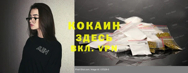 ГАЛЛЮЦИНОГЕННЫЕ ГРИБЫ Кулебаки