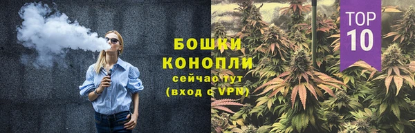 ГАЛЛЮЦИНОГЕННЫЕ ГРИБЫ Кулебаки
