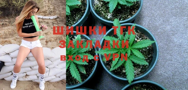 сатива Краснослободск