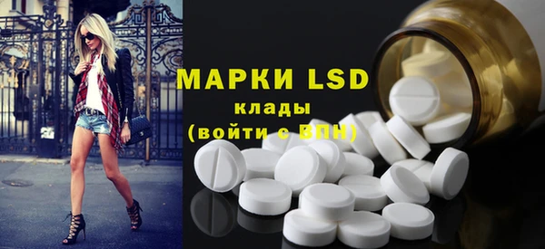 ГАЛЛЮЦИНОГЕННЫЕ ГРИБЫ Кулебаки
