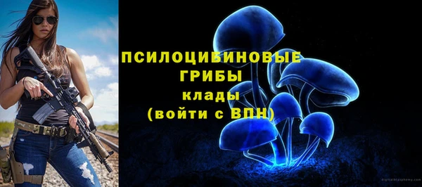 сатива Краснослободск