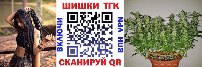 Каннабис гибрид  Сосновый Бор 